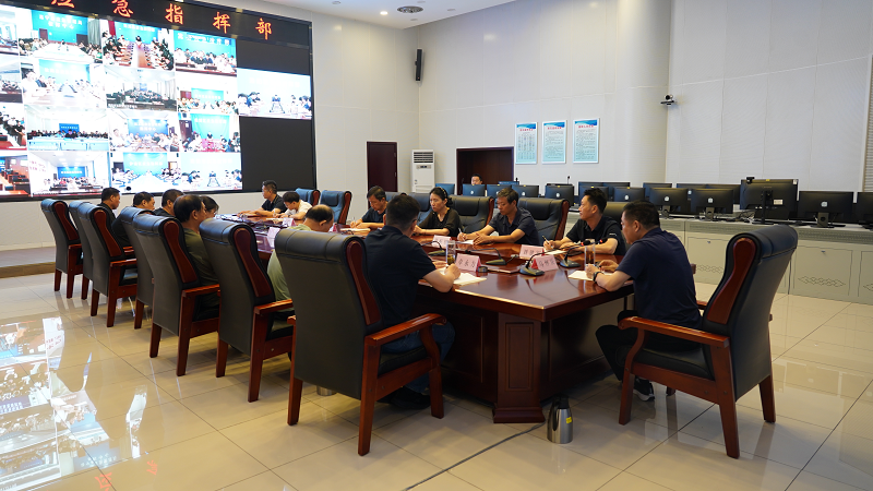 市应急管理局召开全市应急管理系统安全生产重点工作视频会议