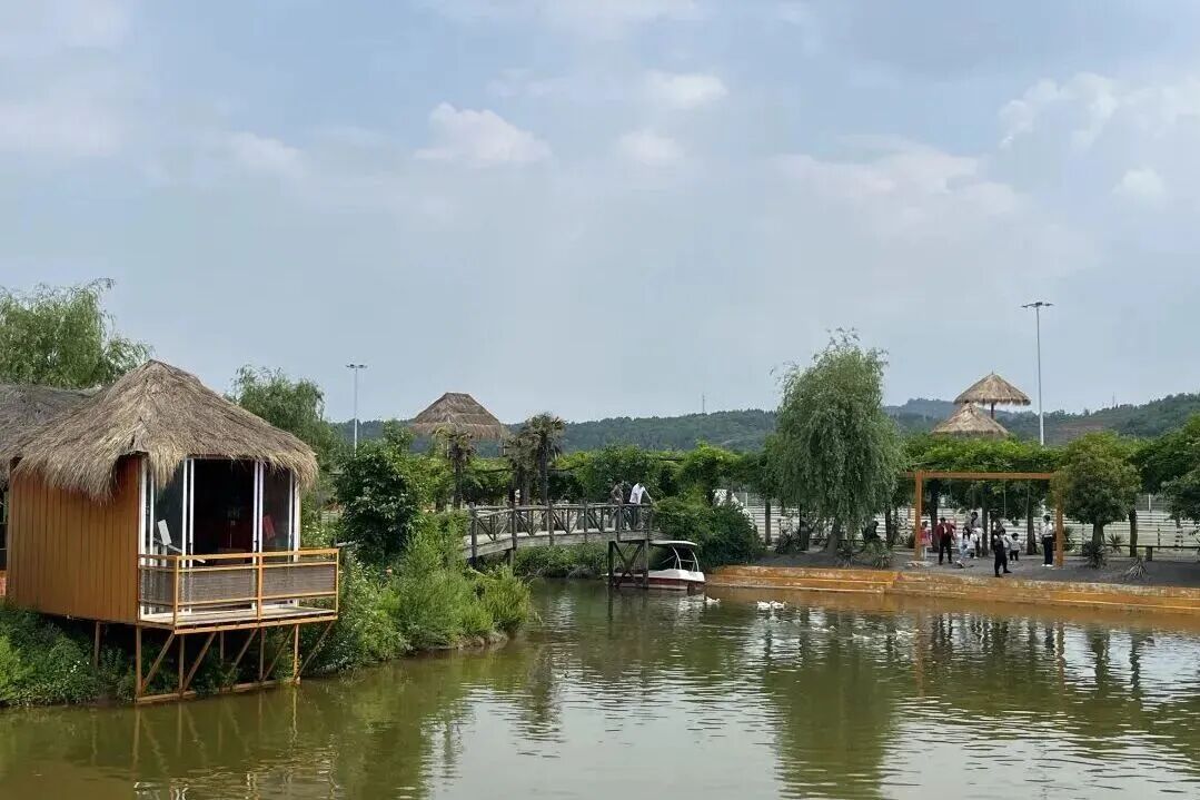 根在河洛・大河回响｜大河安澜・古今治河智慧之旅，赴一场与母亲河的对话